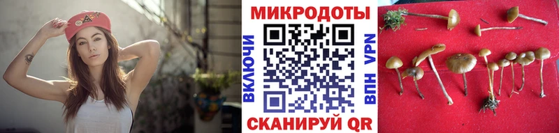 Галлюциногенные грибы Psilocybe  Купить  Певек 